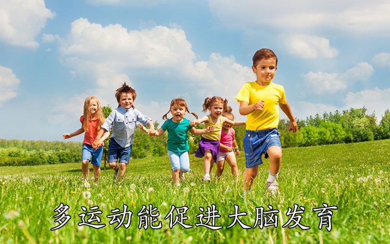 多运动能促进大脑发育