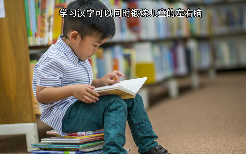 汉字有何作用，父母如何引导儿童识字