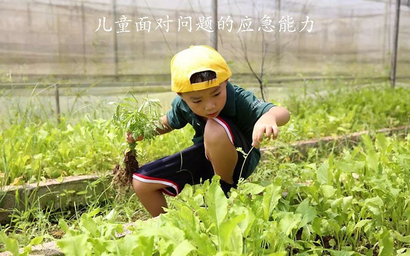 儿童面对问题的应急能力