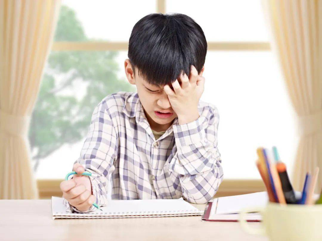 刘小爱识字软件