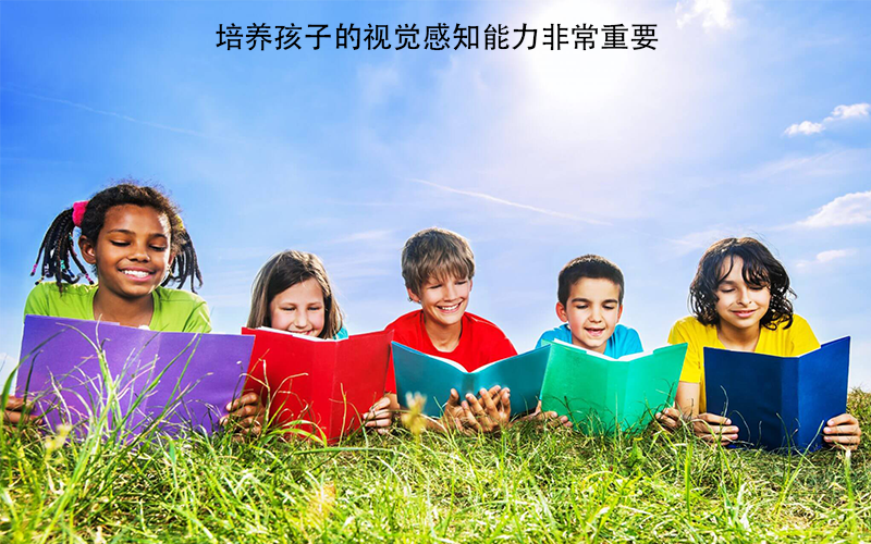 孩子早认字是好是坏？父母该尽早培养孩子视觉认知，别让学习无用化