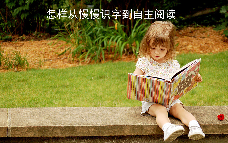 3-8岁儿童识字那点事儿，怎样从慢慢识字到自主阅读