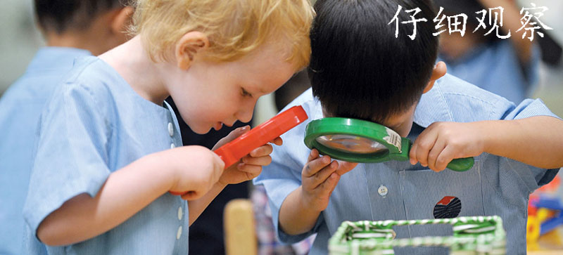 用幼儿识字软件学习汉字