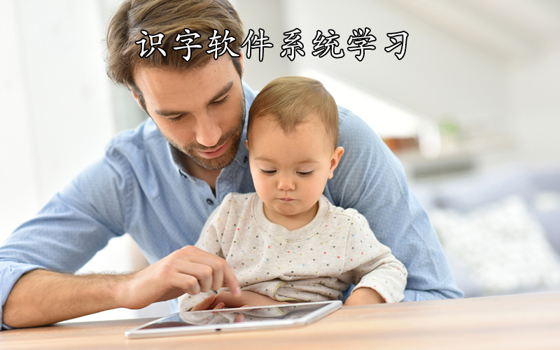 识字软件系统学习