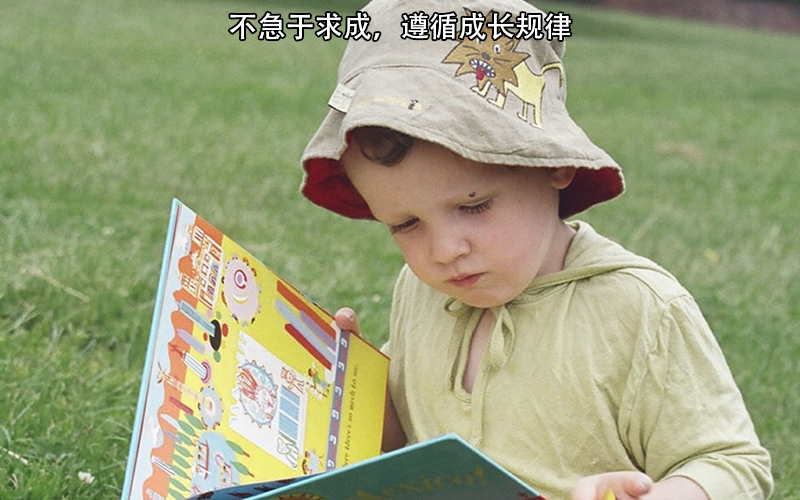 4岁儿童识字4000多，神童王序宁成长背后：智慧父母惹人怒赞