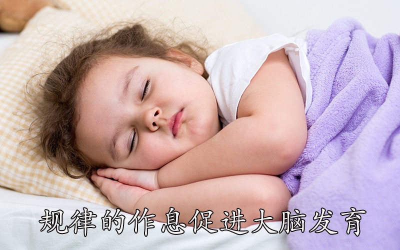 规律的作息促进大脑发育