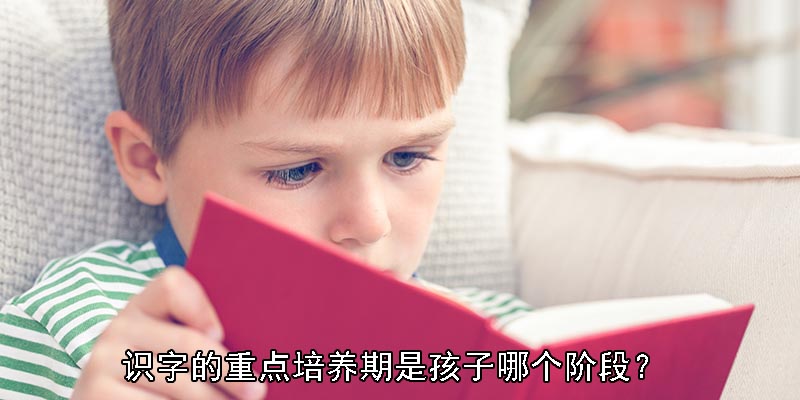 识字的重点培养期是孩子哪个阶段？