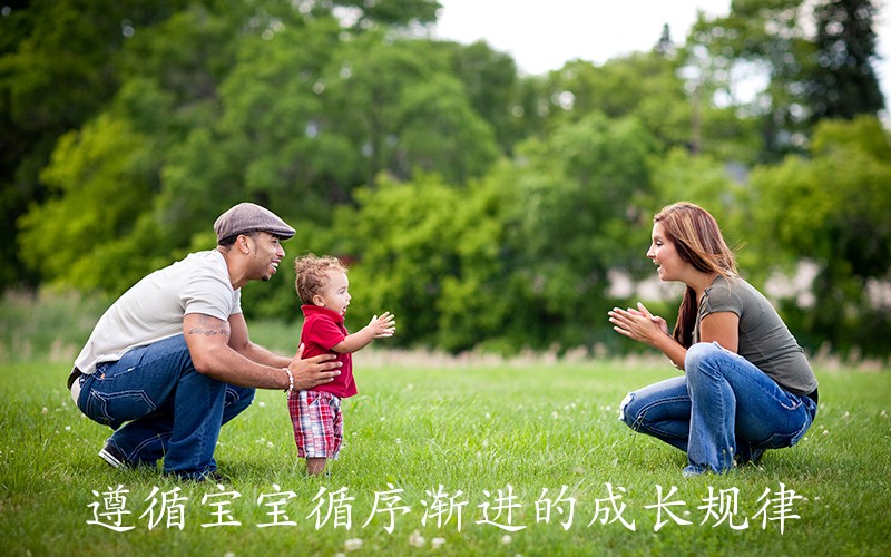 遵循宝宝循序渐进的成长规律