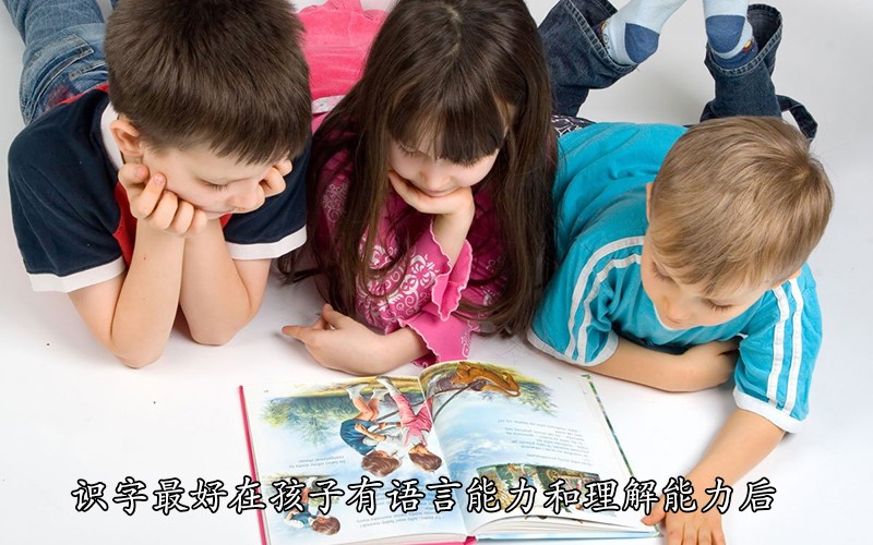 识字最好在孩子有语言能力和理解能力后