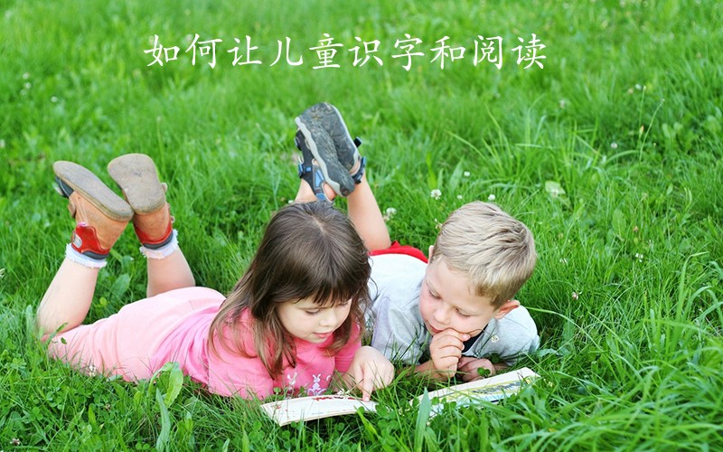 人生聪明识字始 ——如何让儿童识字和阅读