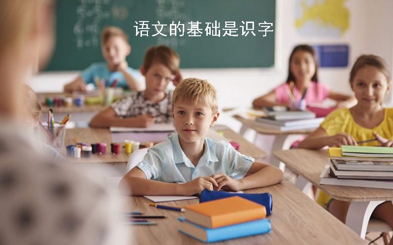 孩子上学前识字少怎么办,6岁儿童识字1000+，这样做轻松加愉快