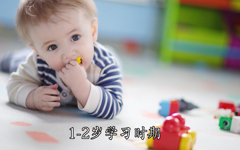 1-2岁学习时期