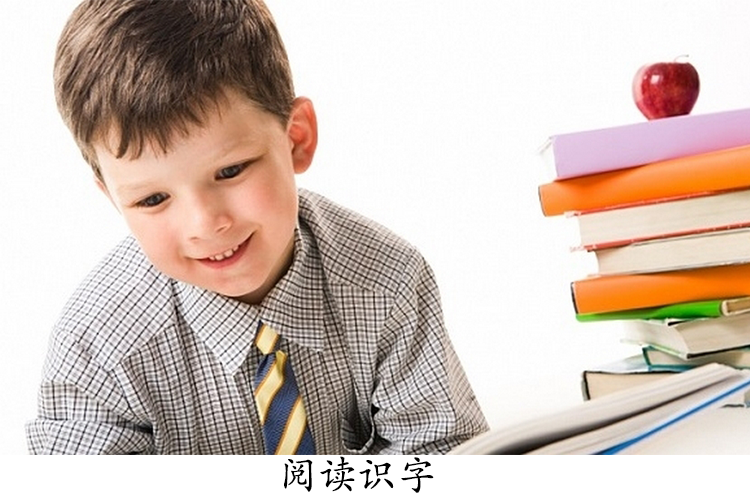 识字重在阅读
